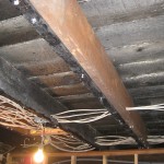IMG_1519 IMG_1519