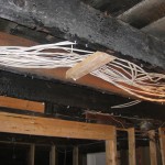IMG_1520 IMG_1520