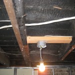 IMG_1528 IMG_1528
