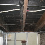 IMG_1529 IMG_1529