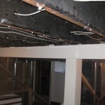 IMG_1530 IMG_1530