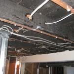 IMG_1531 IMG_1531