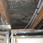 IMG_1533 IMG_1533