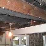 IMG_1536 IMG_1536