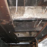 IMG_1537 IMG_1537
