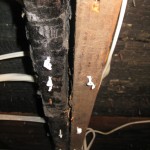 IMG_1716 IMG_1716