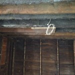 IMG_0611 IMG_0611