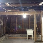 IMG_0613 IMG_0613