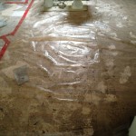 IMG_0642 IMG_0642