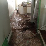 IMG_0643 IMG_0643