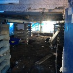 IMG_0668 IMG_0668