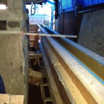 IMG_0717 IMG_0717