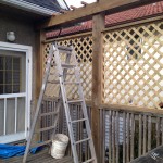 IMG_1039 IMG_1039
