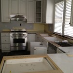 IMG_1041 IMG_1041
