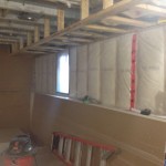 IMG_1084 IMG_1084
