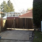 IMG_1141 IMG_1141