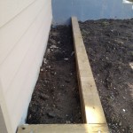 IMG_1196 IMG_1196
